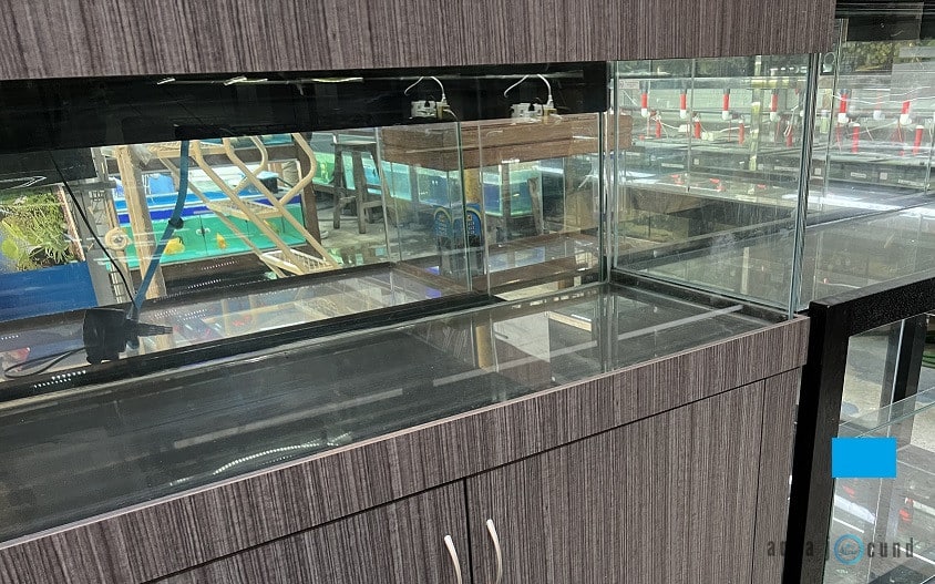 fish tanks