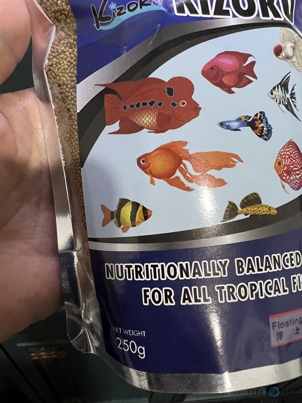 food of tiger barb