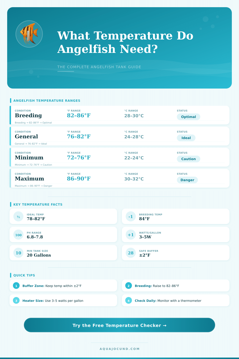 Angelfish Water Temperature Checker – Keep Your Tank Perfect