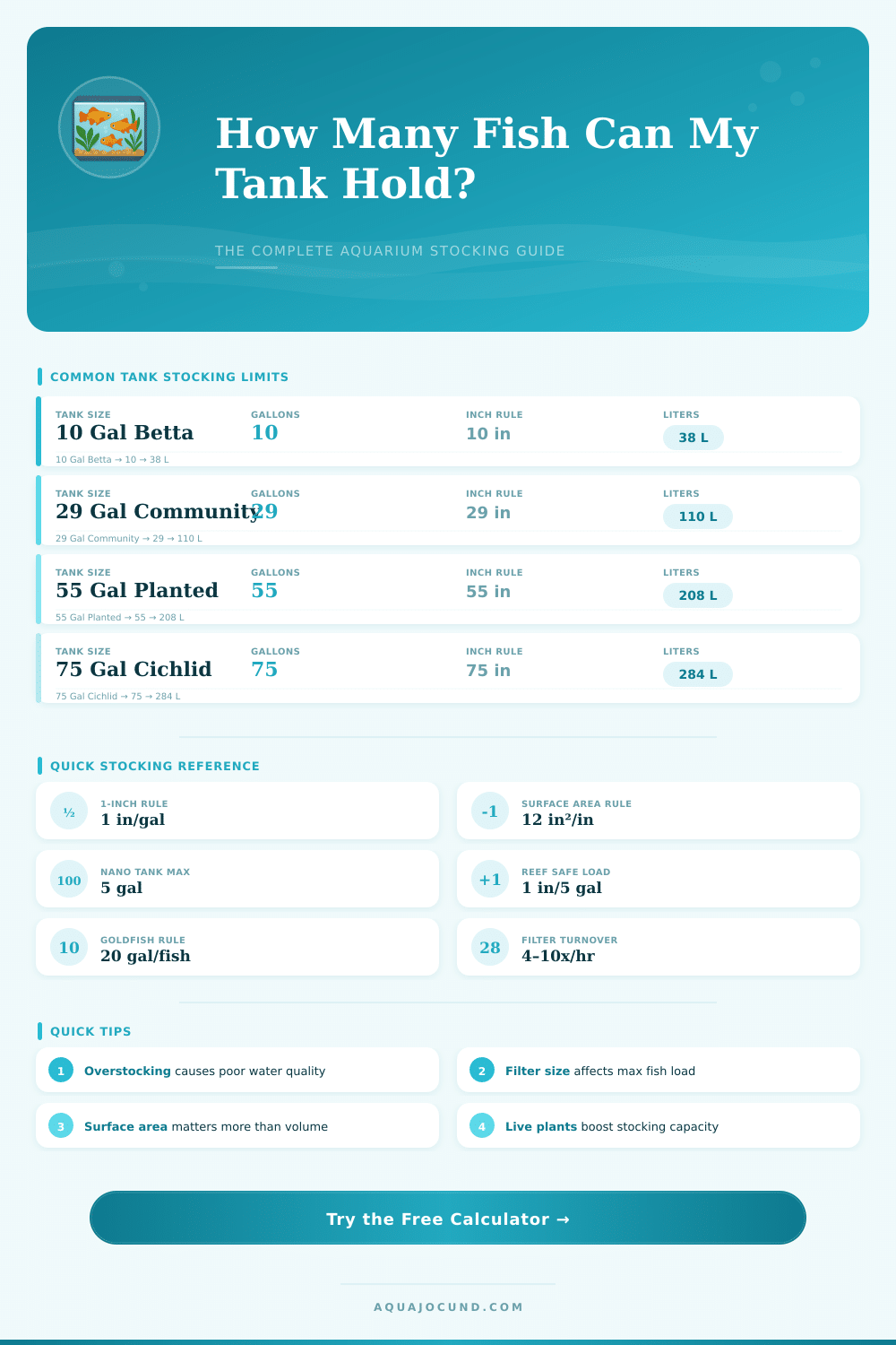 Aquarium Stocking Calculator: How Many Fish Can I Keep?
