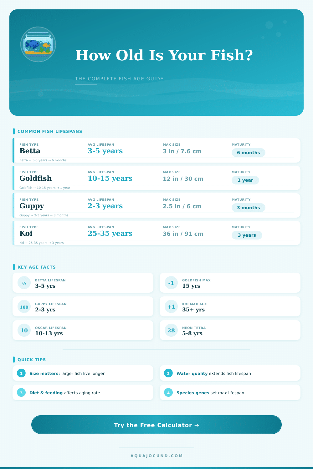Fish Age Calculator: How Old Is Your Fish?