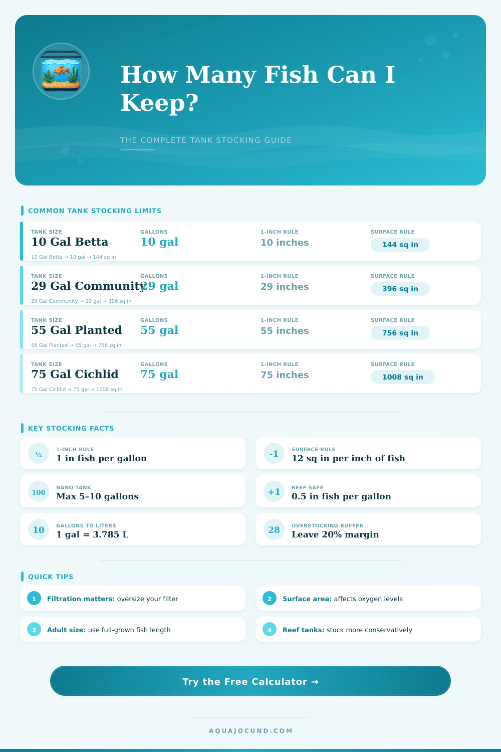 Fish Per Gallon Calculator – Stock Your Tank Right