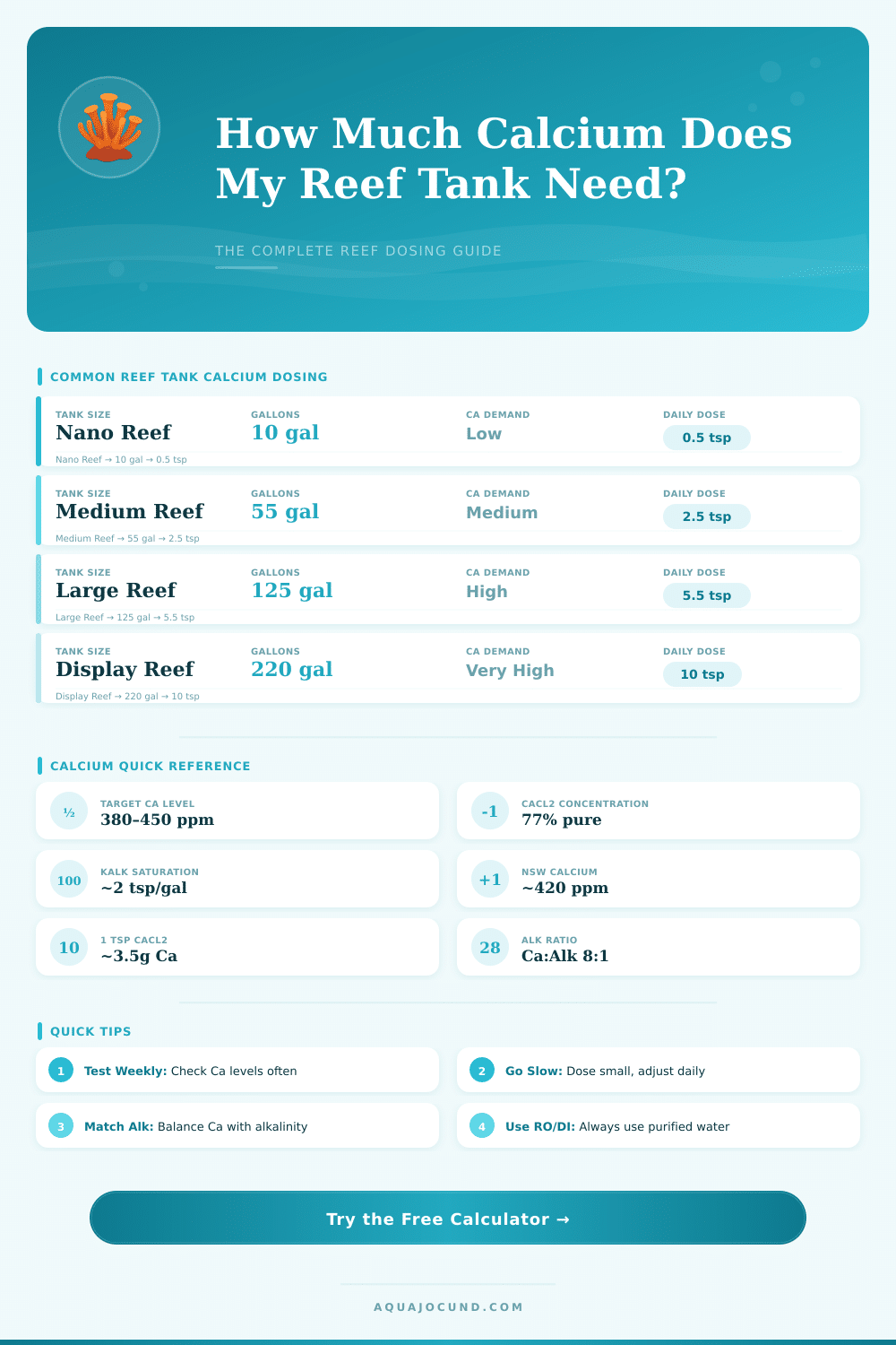 Reef Tank Calcium Calculator: How Much Do I Need?
