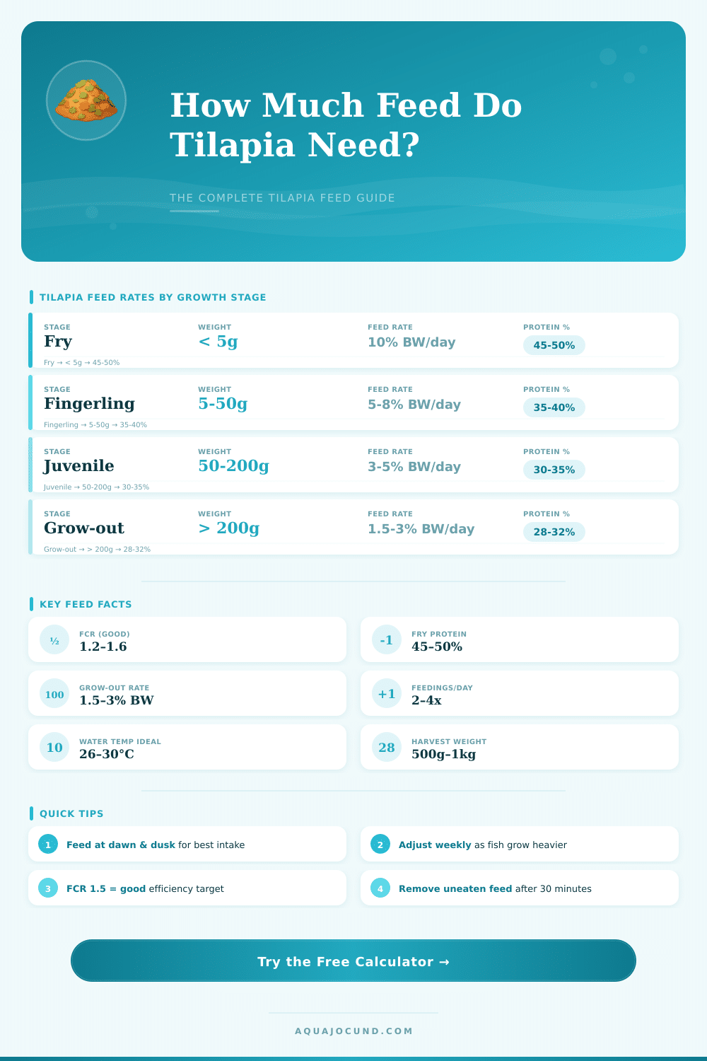 Tilapia Fish Feed Calculator – How Much Feed Do I Need?