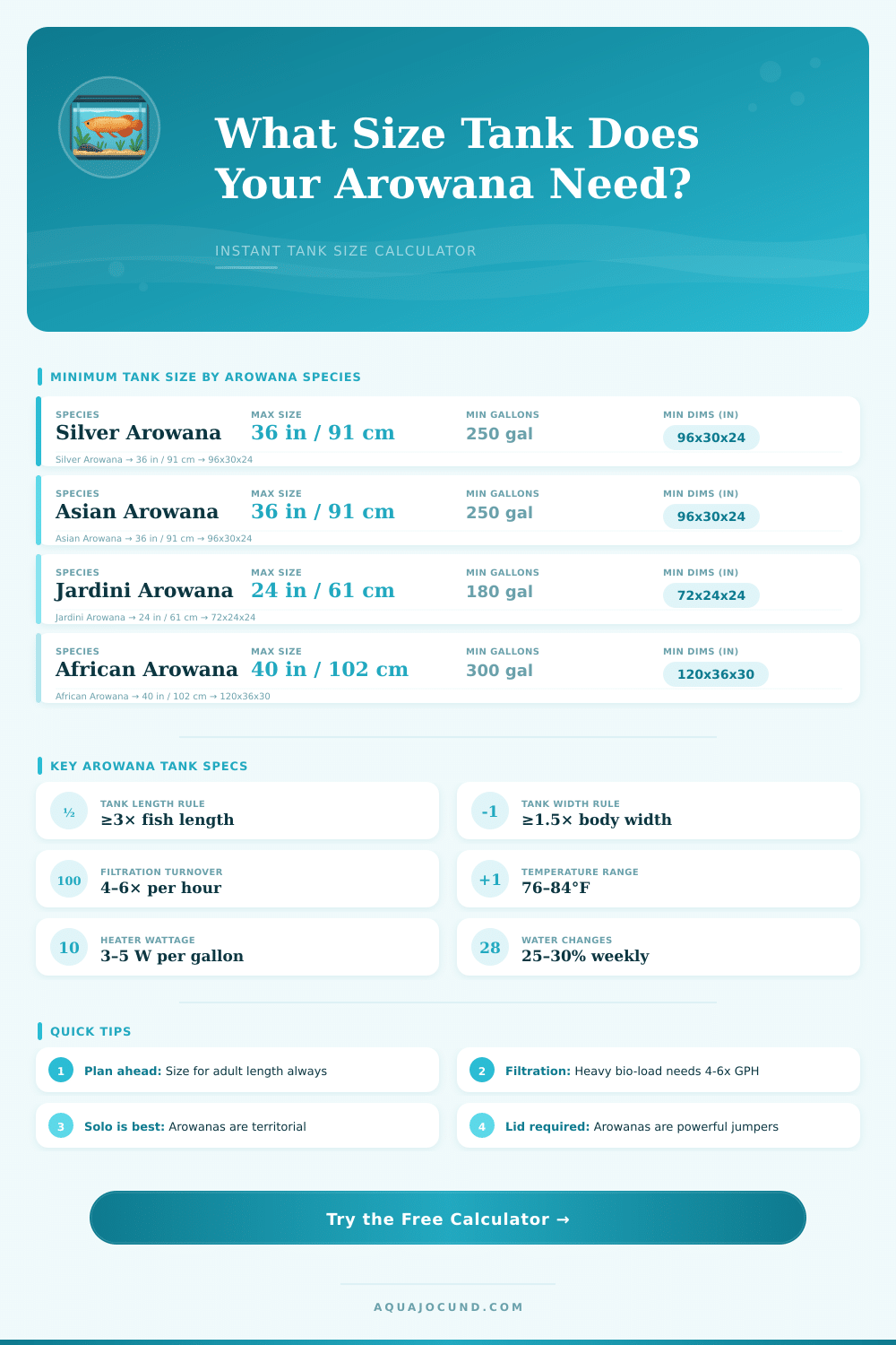 Arowana Tank Size Calculator: Find the Right Aquarium