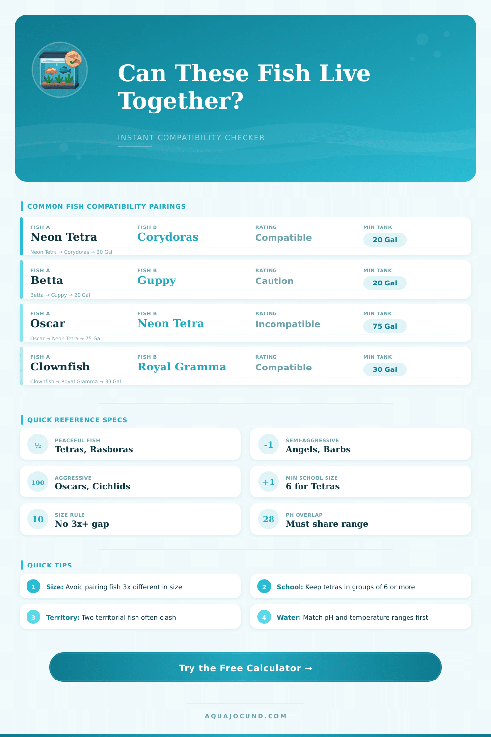Fish Compatibility Checker: Can These Fish Live Together?