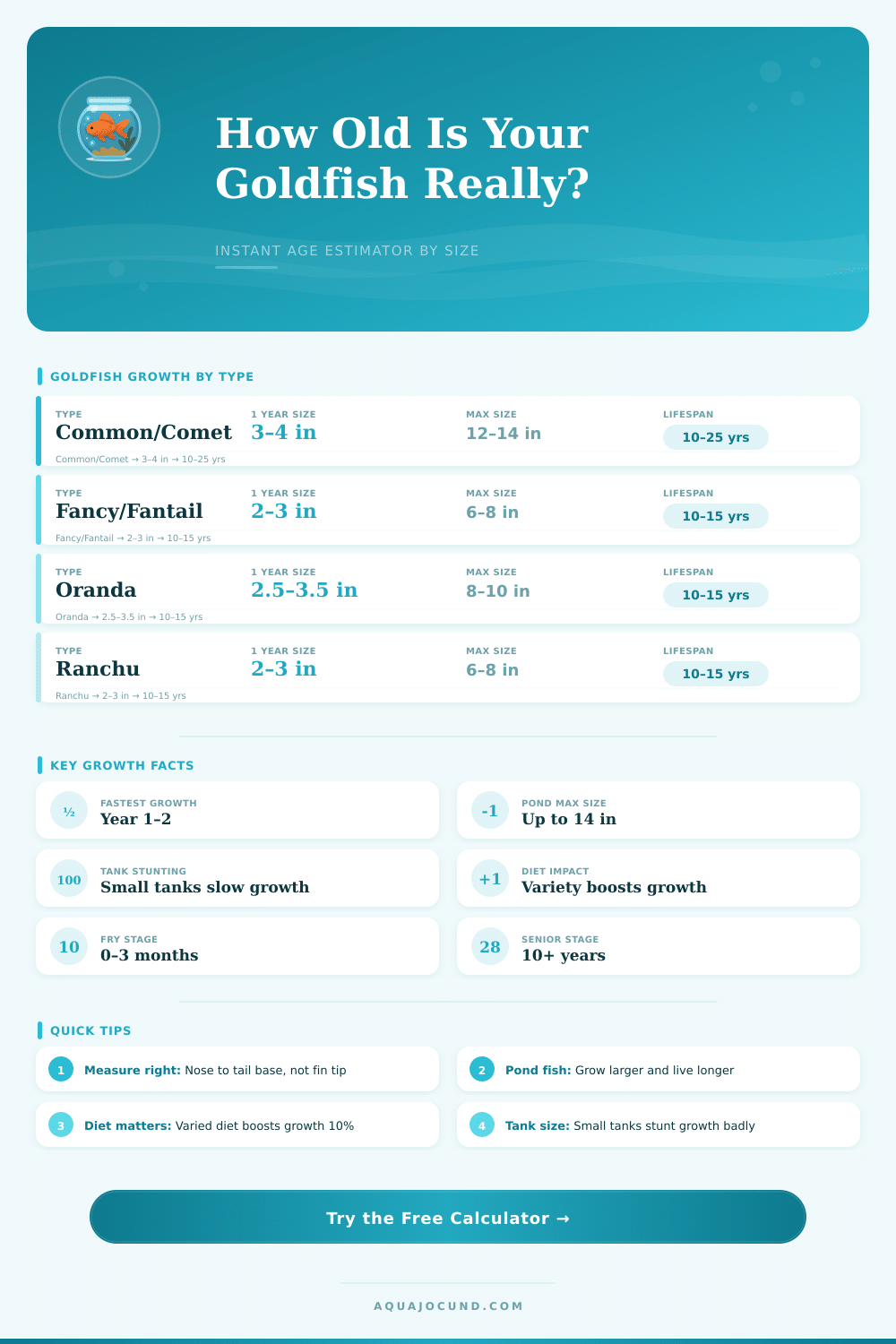 Goldfish Age Calculator: Estimate Age by Size and Type