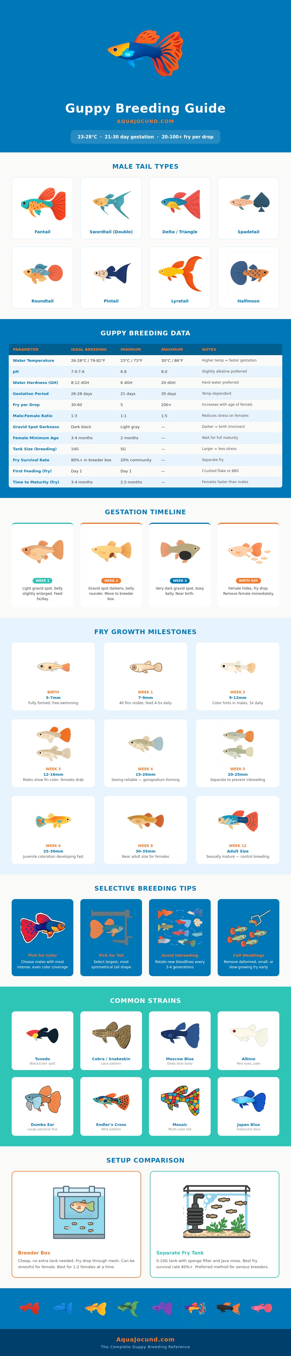Guppy Breeding Chart
