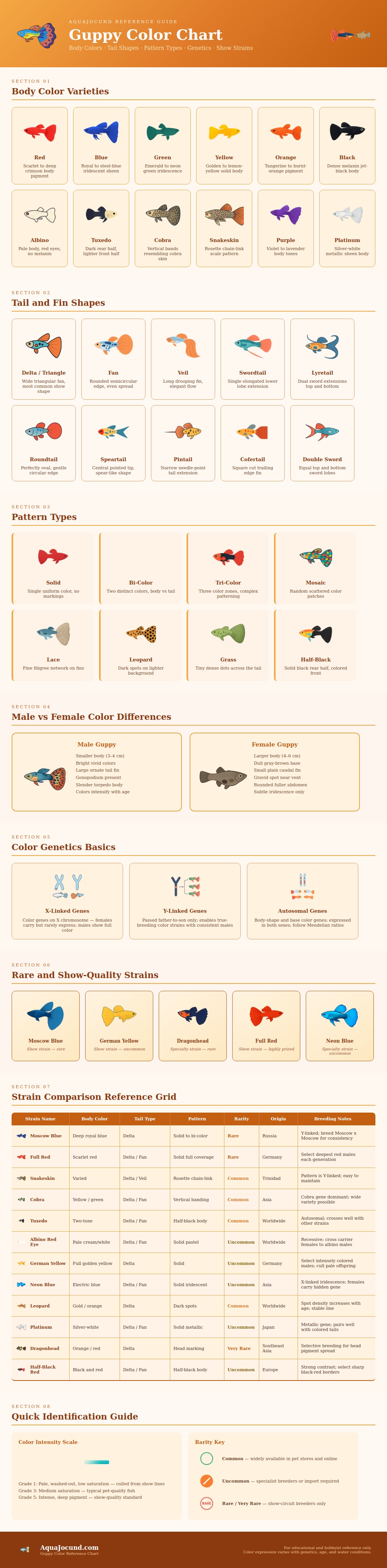 Guppy Color Chart