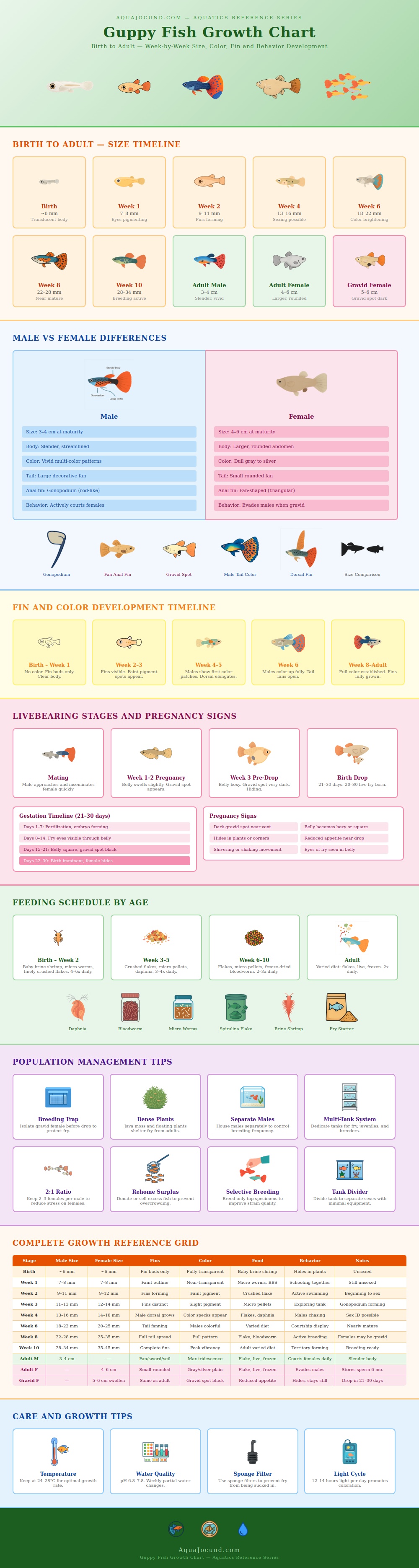 Guppy Fish Growth Chart