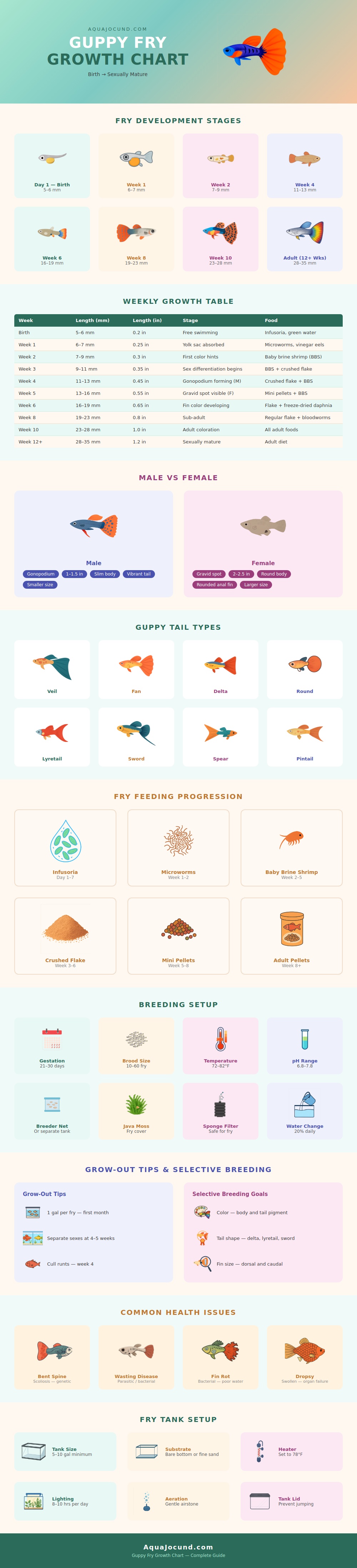 Guppy Fry Growth Chart