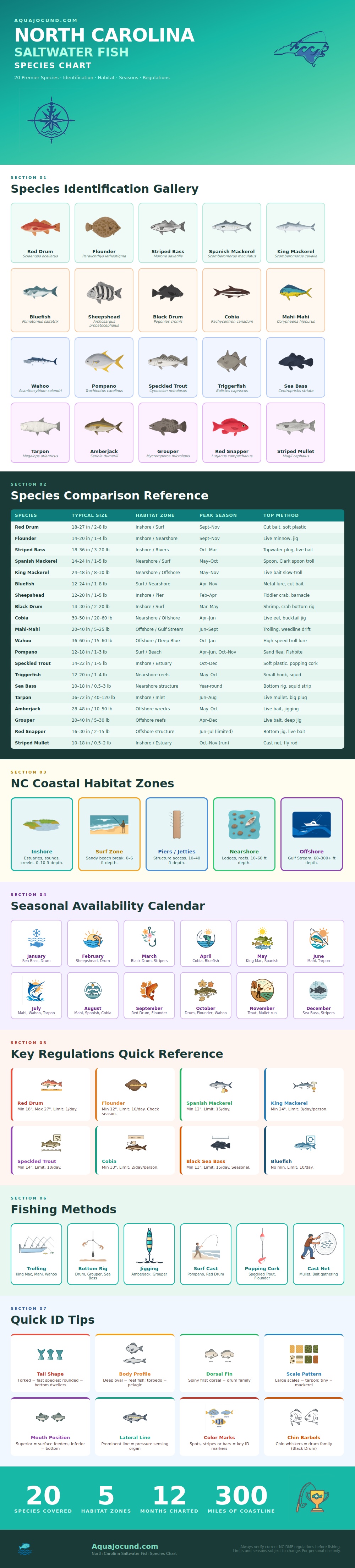 Nc Saltwater Fish Species Chart