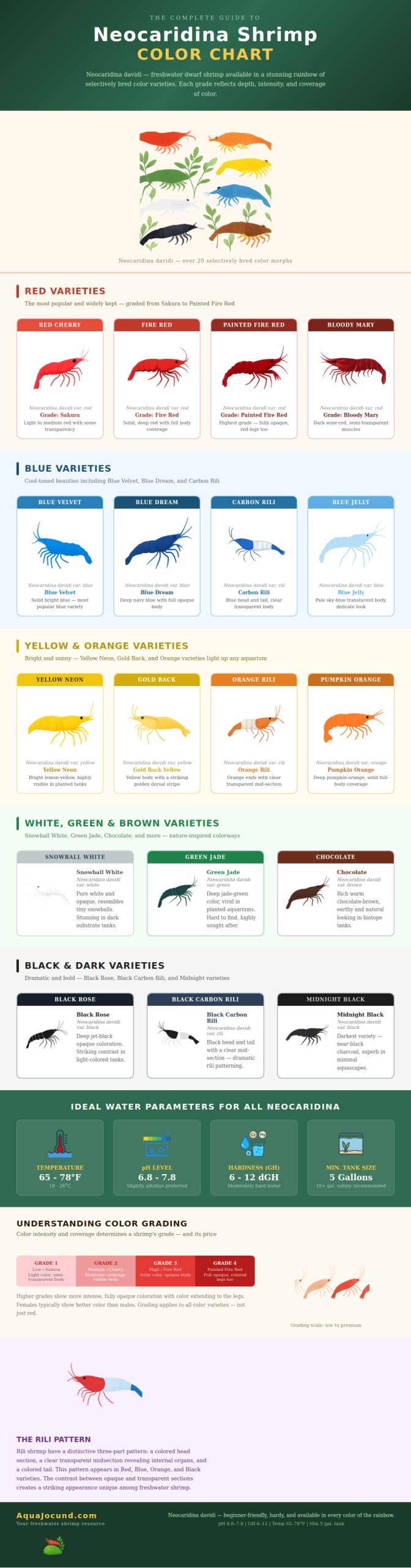 Neocaridina Shrimp Color Chart - Aqua Jocund