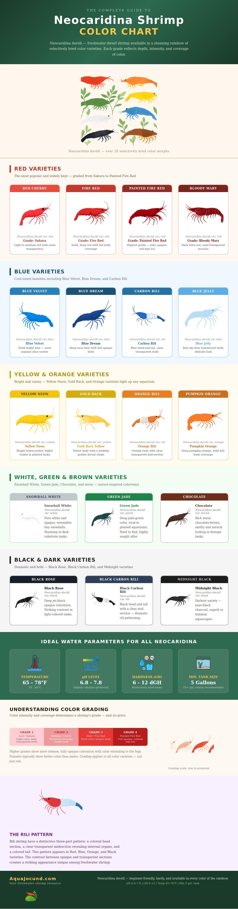 Neocaridina Shrimp Color Chart