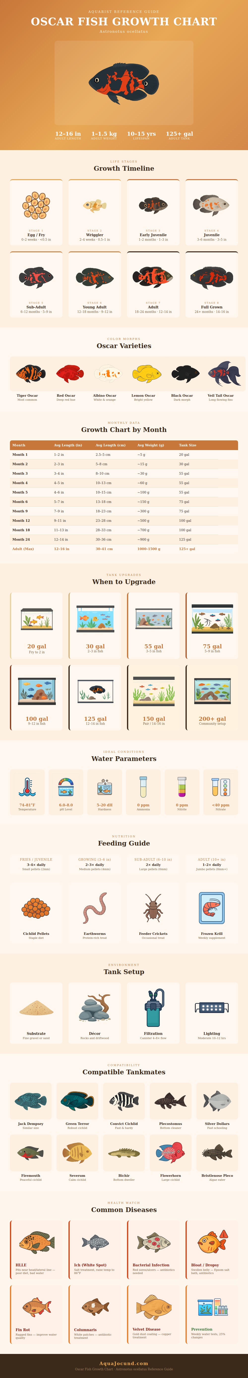 Oscar Fish Growth Chart