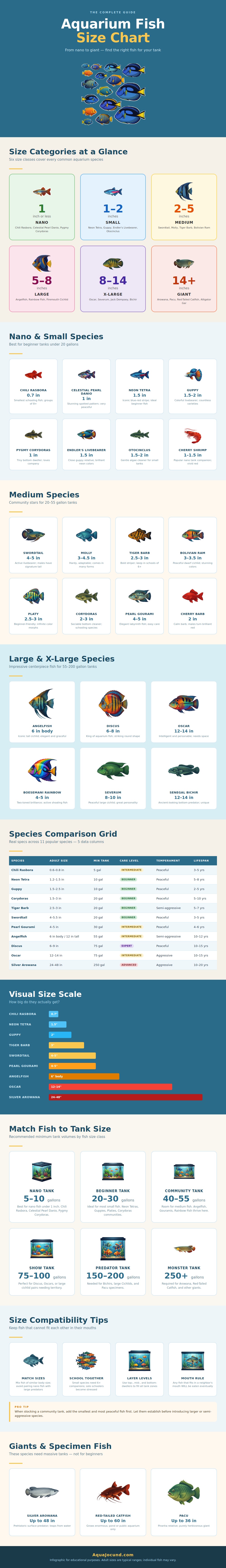 Aquarium Fish Size Chart