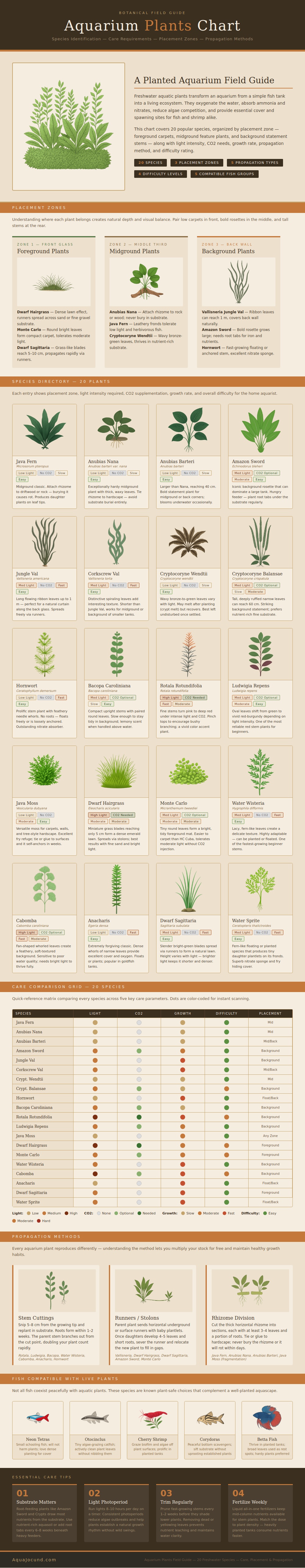 Aquarium Plants Chart