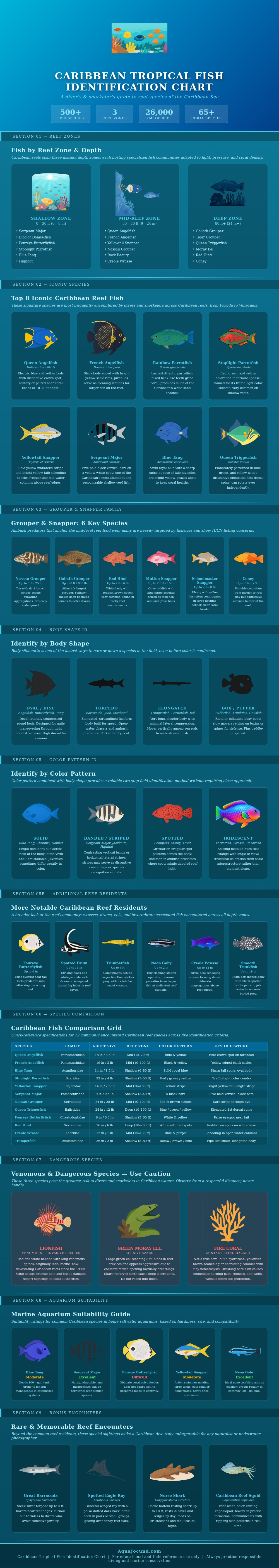 Caribbean Tropical Fish Identification Chart