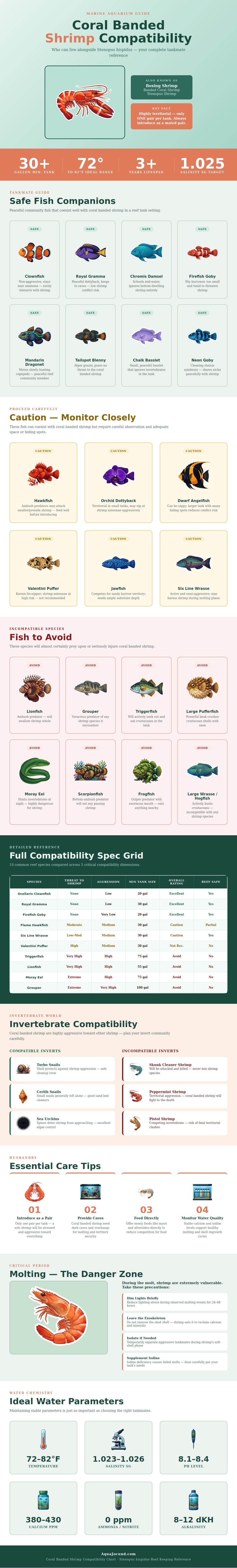 Coral Banded Shrimp Compatibility Chart