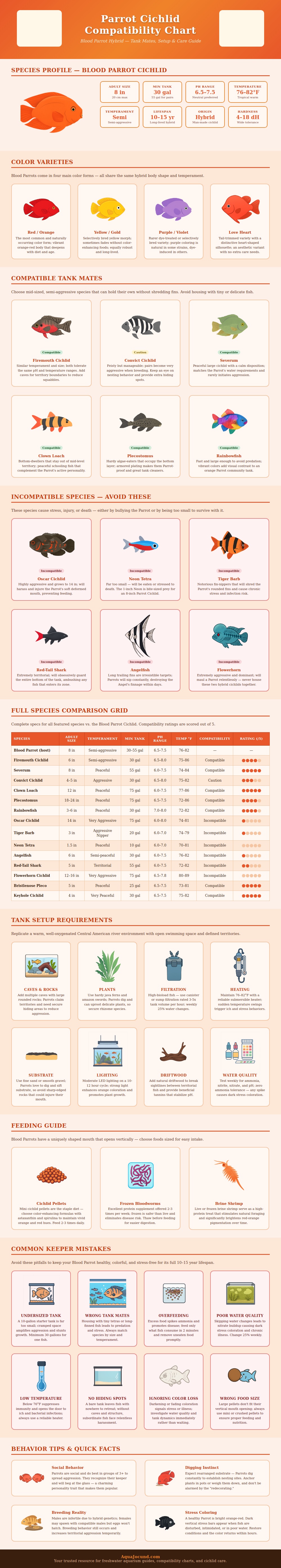 Parrot Cichlid Compatibility Chart