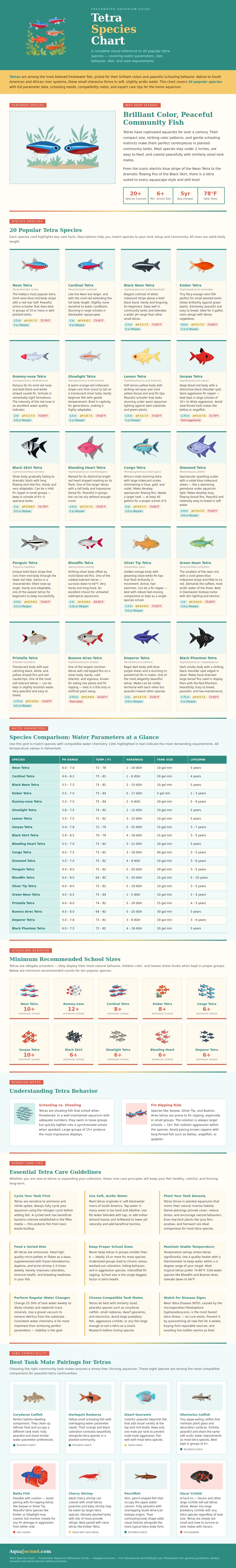 Tetra Species Chart