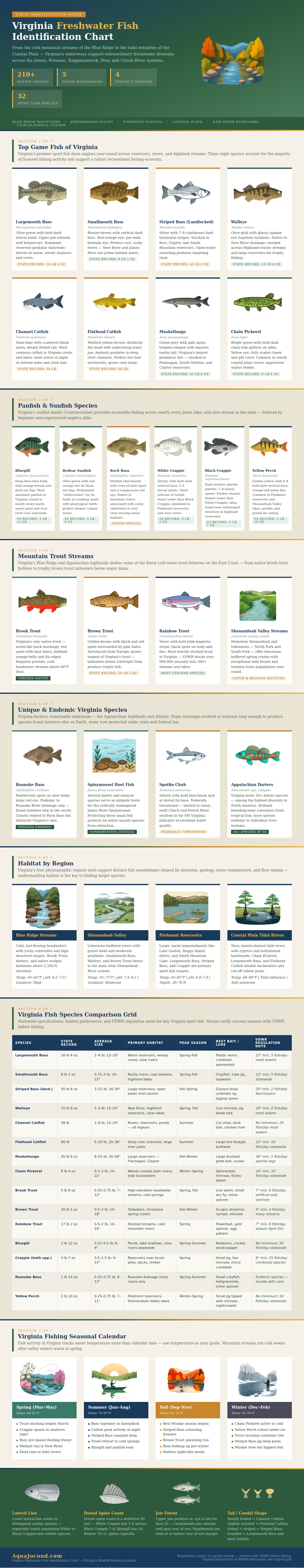 Virginia Freshwater Fish Identification Chart