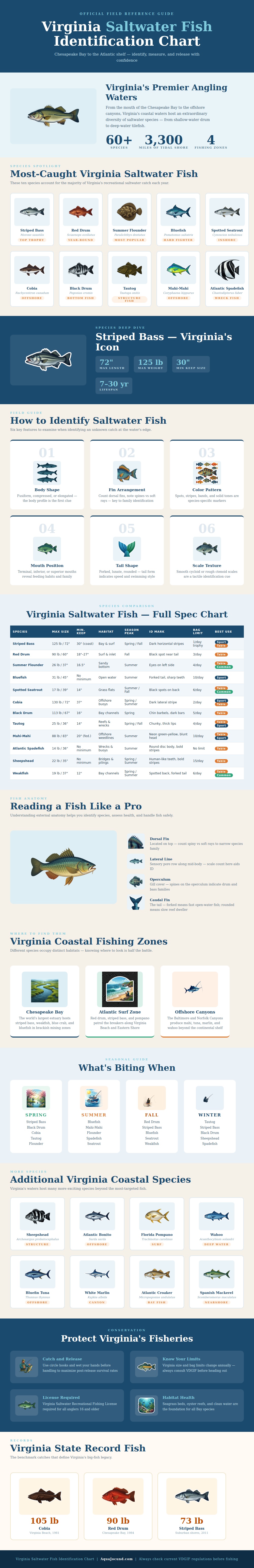 Virginia Saltwater Fish Identification Chart