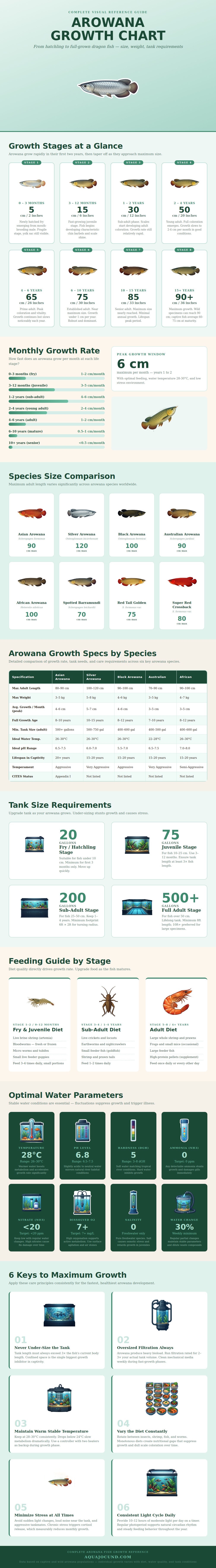 Arowana Fish Growth Chart