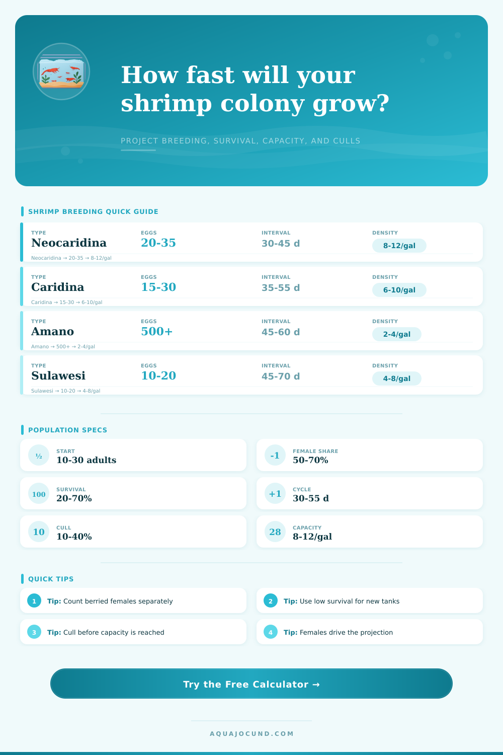 Shrimp Breeding Population Calculator