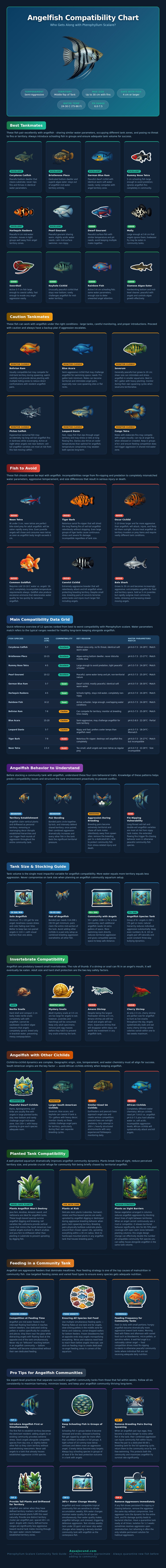 Angelfish Compatibility Chart