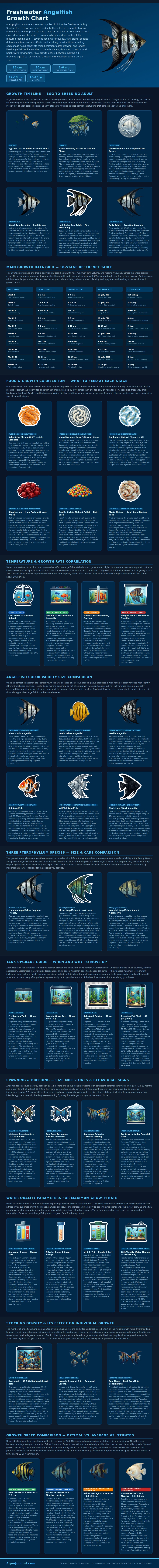 Angelfish Growth Chart