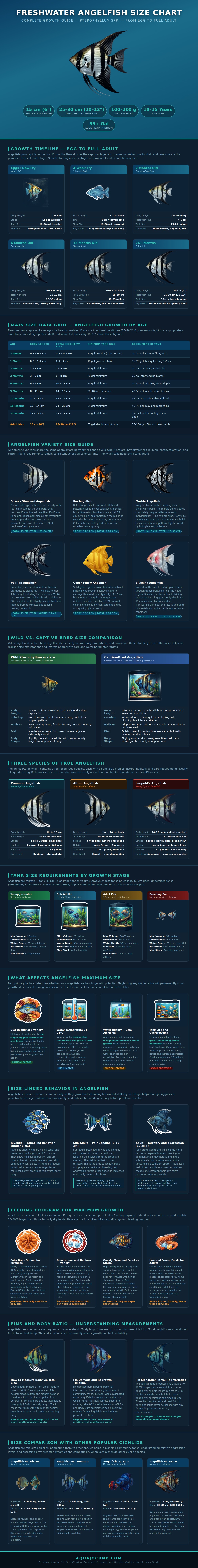 Angelfish Size Chart