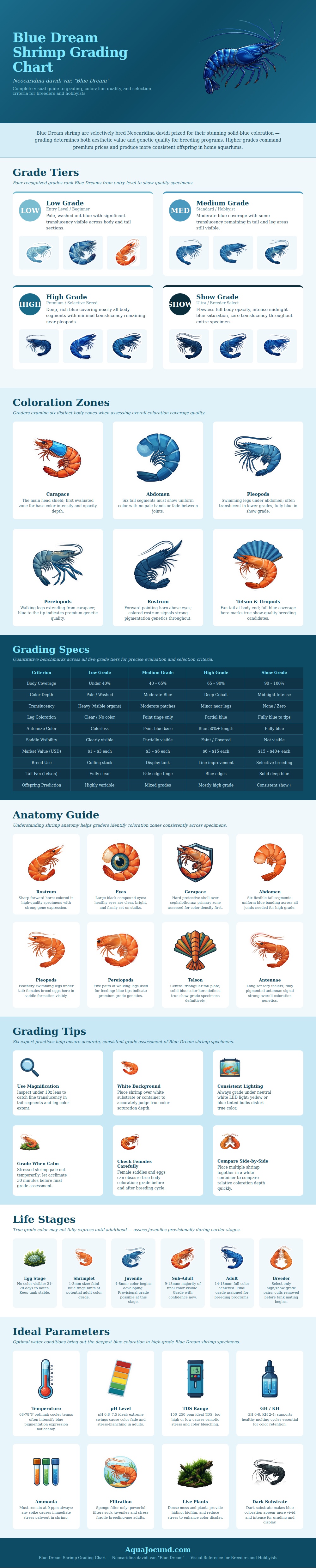 Blue Dream Shrimp Grading Chart