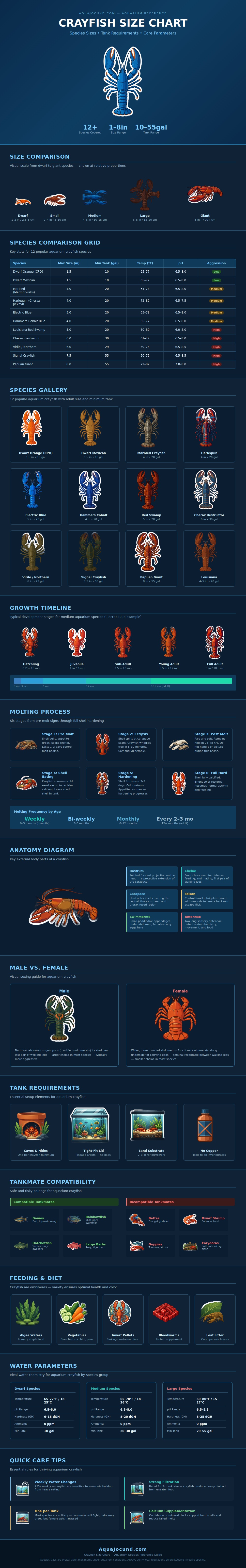 Crayfish Size Chart