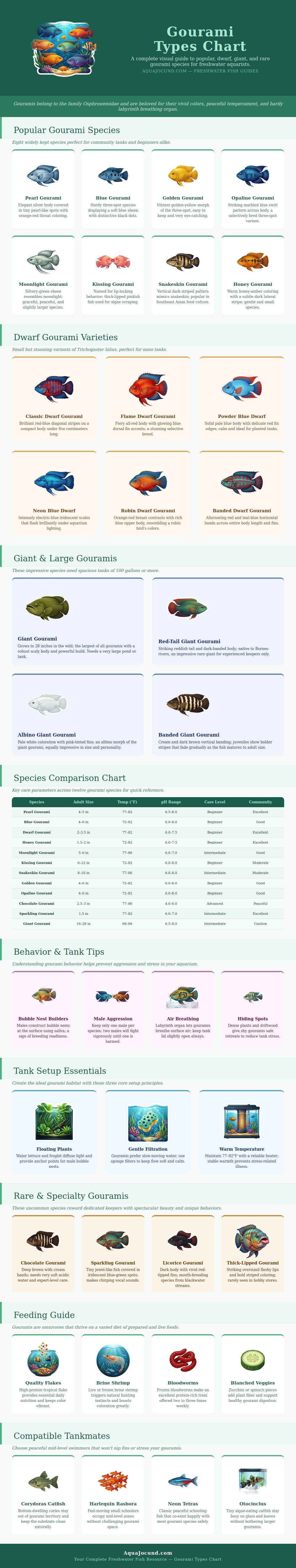 Gourami Types Chart