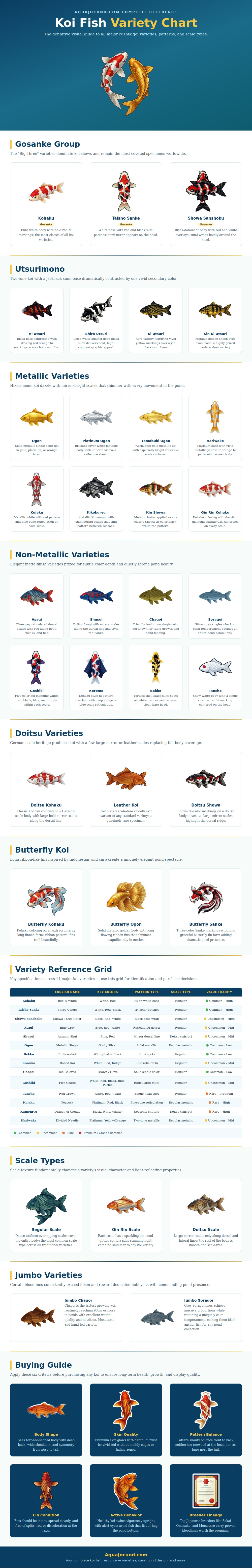 Koi Fish Variety Chart