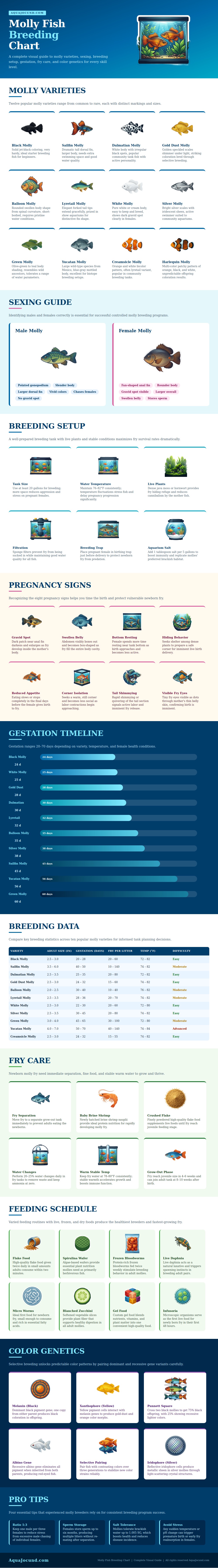 Molly Fish Breeding Chart
