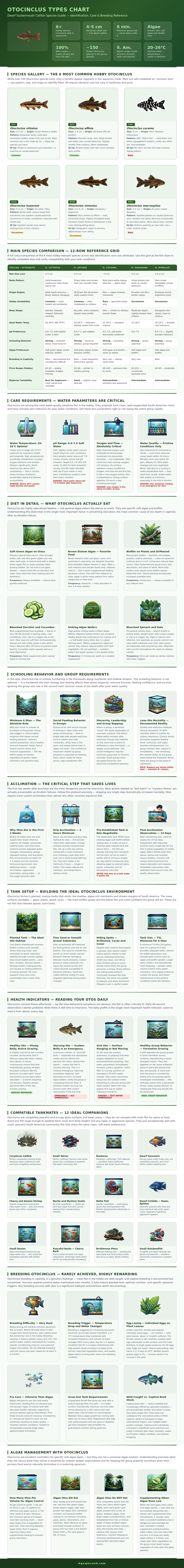Otocinclus Types Chart