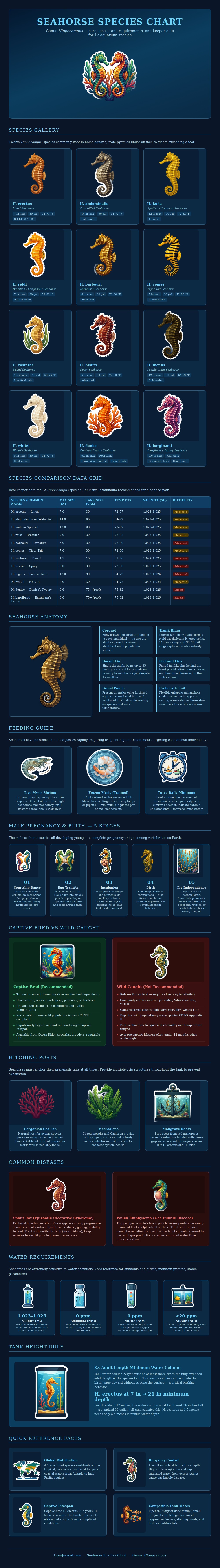 Seahorse Species Chart