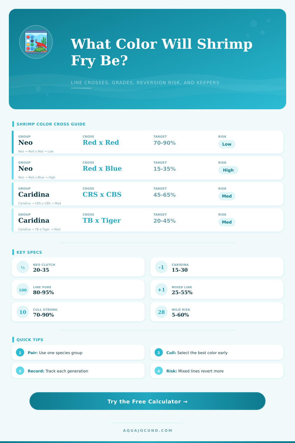 Shrimp Color Genetics Calculator