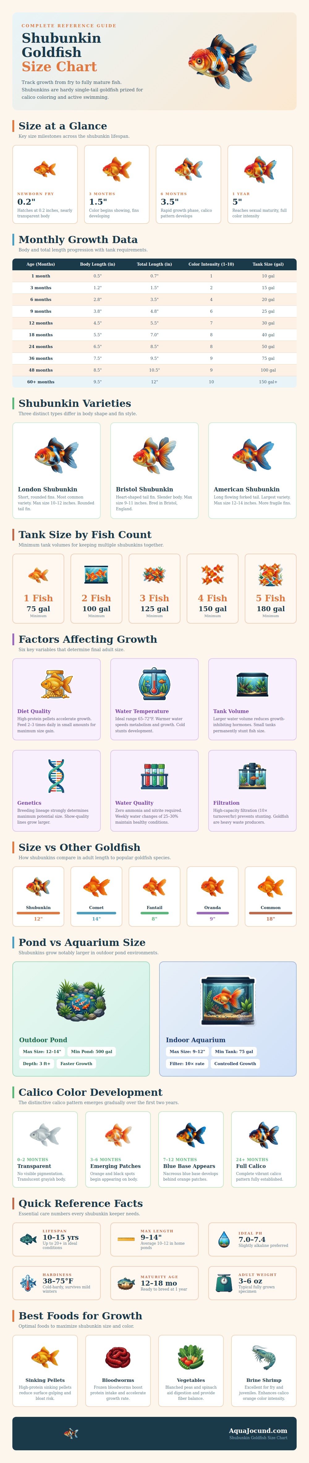Shubunkin Goldfish Size Chart