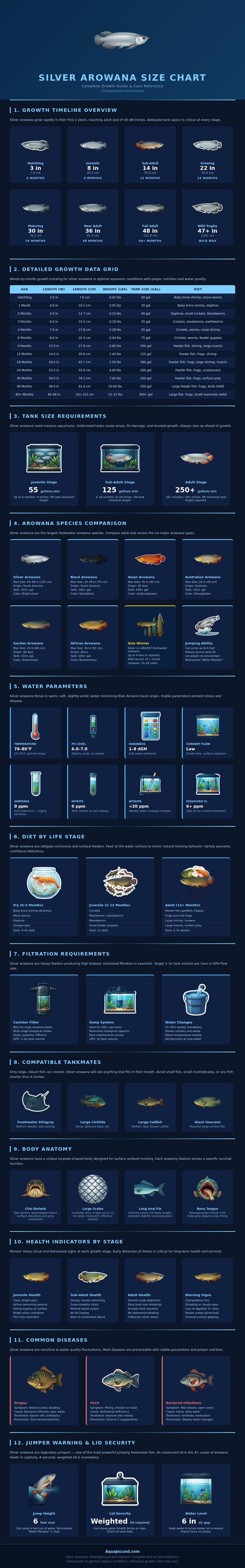 Silver Arowana Size Chart