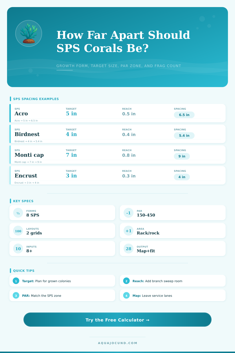 SPS Coral Spacing Calculator