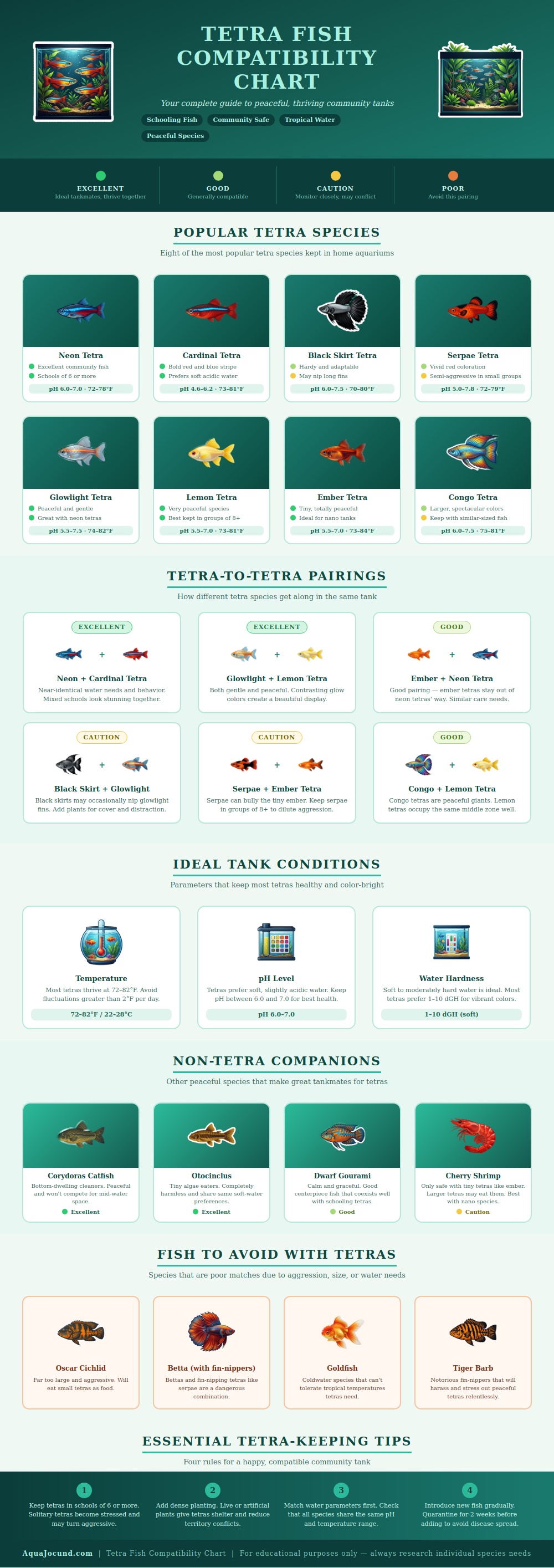 Tetra Fish Compatibility Chart
