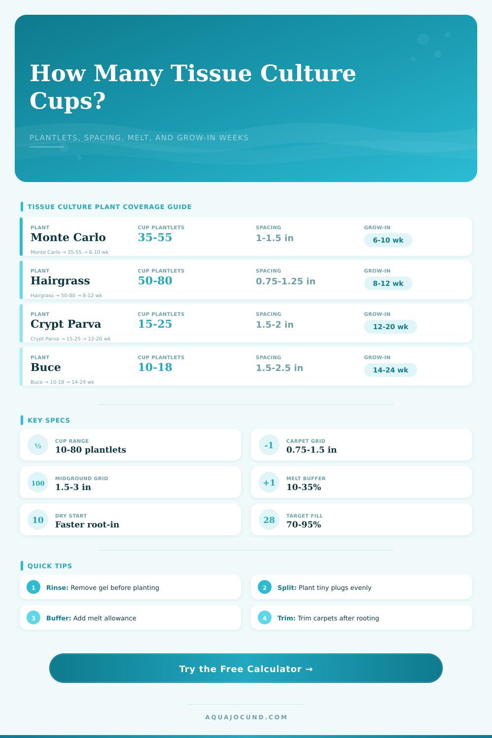 Tissue Culture Plant Coverage Calculator
