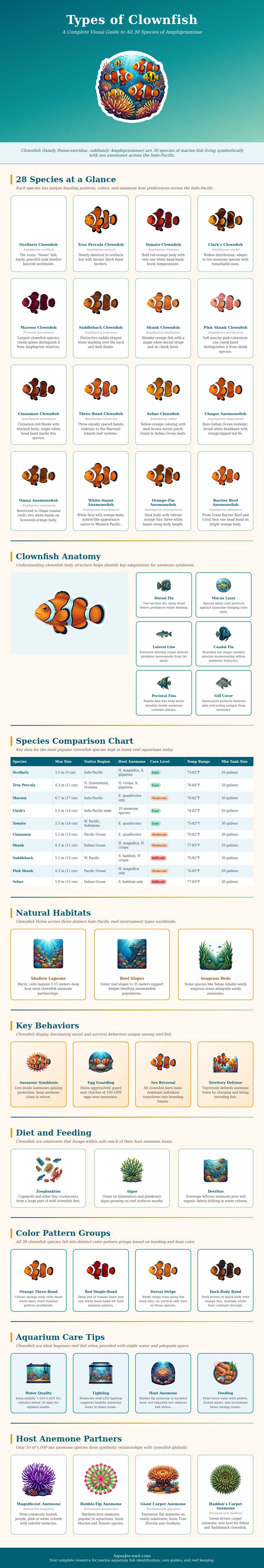 Types Of Clownfish Chart