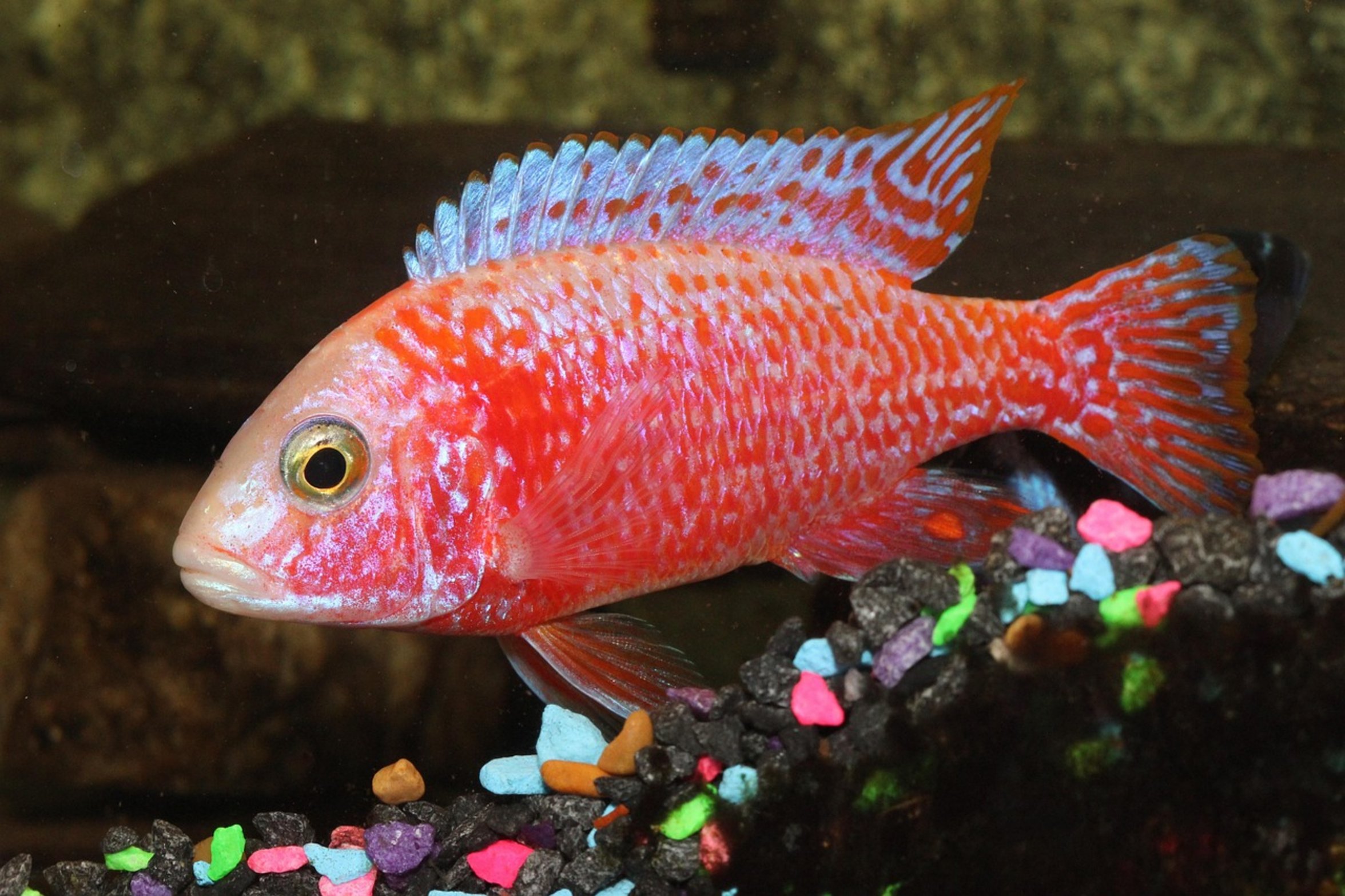 aquarium filter equipment aquarium filter equipment