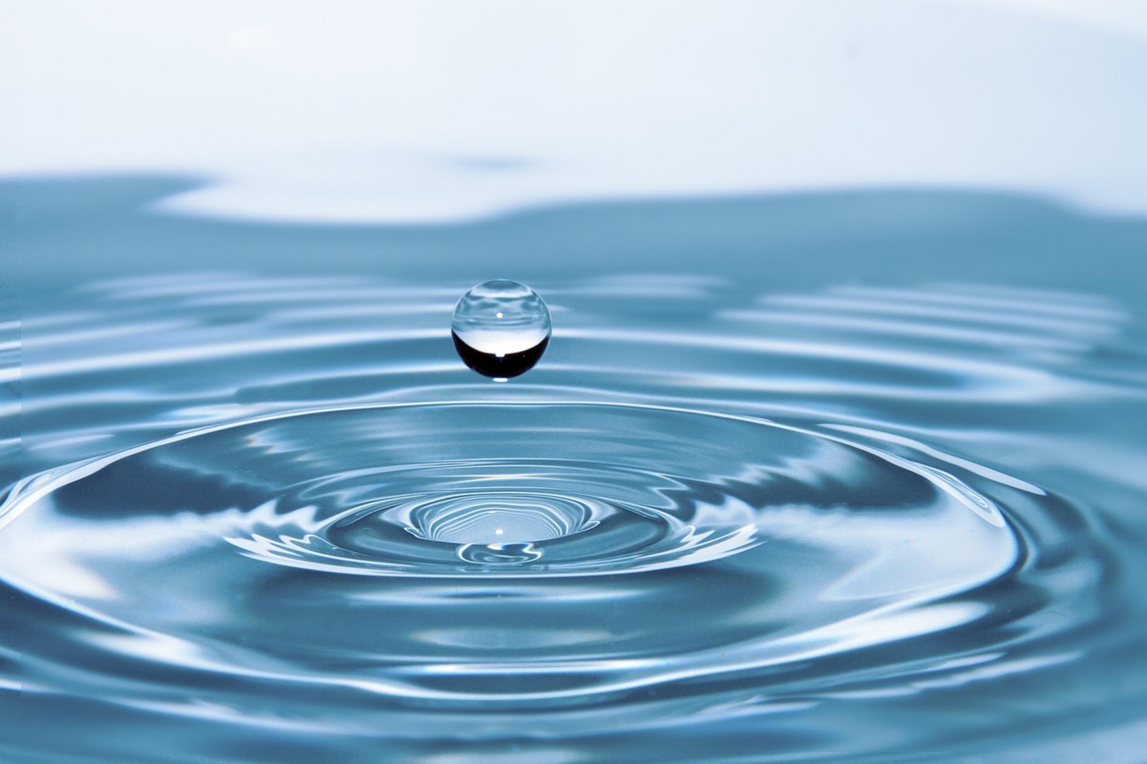 clean clear aquarium water clean clear aquarium water