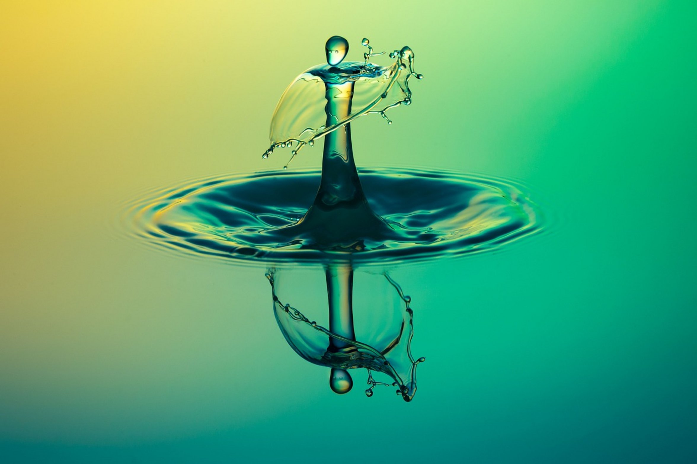 fish gasping water surface fish gasping water surface