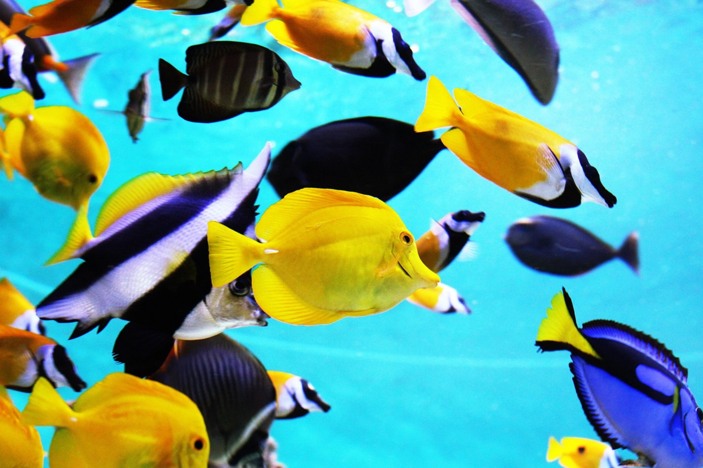 fish tank water movement fish tank water movement
